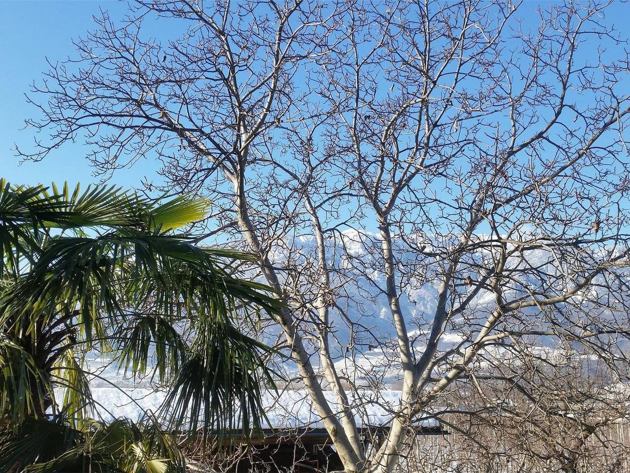 Ganze Ferienwohnung, Perwanger-Hof - Unterland in Auer, Südtirol