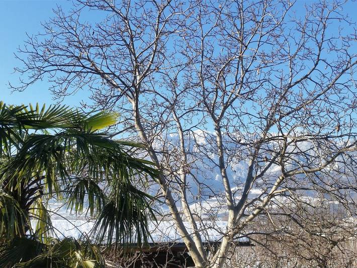 Ferienwohnung für 4 Personen, mit Garten, mit Haustier in Auer