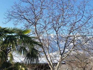 Ferienwohnung für 3 Personen, mit Ausblick und Garten, mit Haustier in Überetsch-Unterland