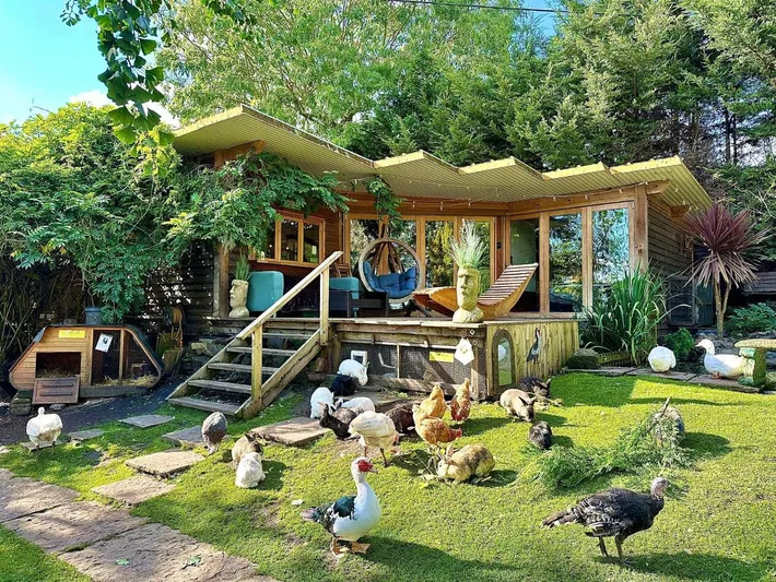 Guesthouse for 4 people, with sauna and hot tub as well as garden - 1