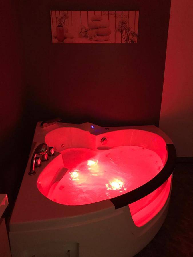 Location de vacances pour 10 personnes, avec jardin et jacuzzi à Saint-Apollinaire-de-Rias - 2