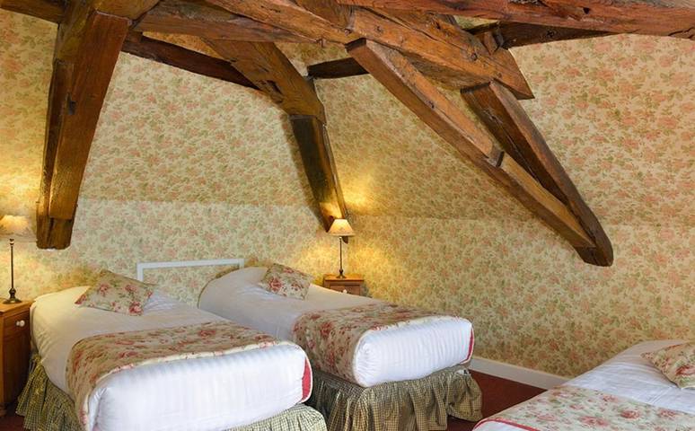 Hôtel pour 2 personnes, avec jardin ainsi que sauna et piscine, animaux acceptés à Mosnes - 4