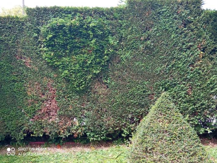 Hotel para 2 personas, con terraza además de jardín y vistas en Costa Oriental Asturiana - 4