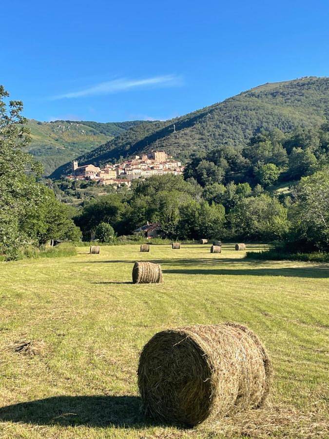 Location de vacances pour 2 personnes, avec jardin ainsi que terrasse et vue, animaux acceptés à Mosset - 3