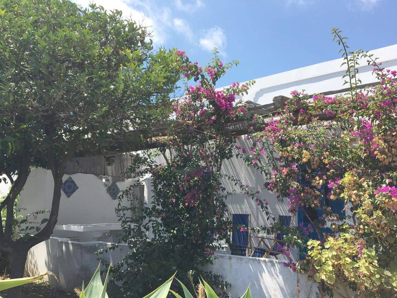 Appartamento intero, Villa in Panarea - Nespolo in Panarea