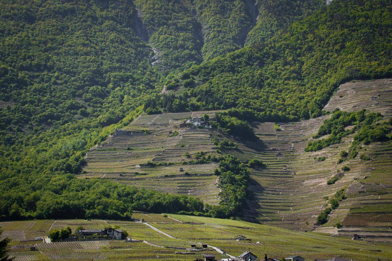 Appartement entier, Le Petit Beurre de cacahuète et Le Poivre et Sel in Fully, Région de Martigny-Val de Bagnes