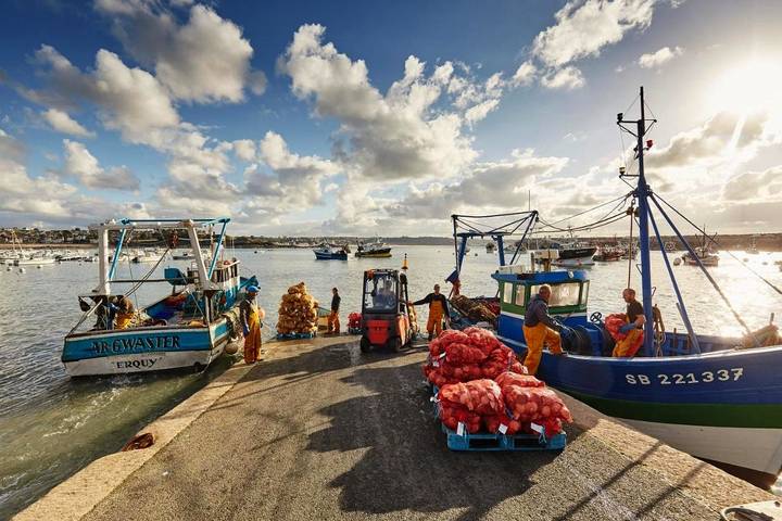 Location de vacances pour 6 personnes, avec jardin et sauna dans Office De Tourisme De Saint Quay Portrieux - 4