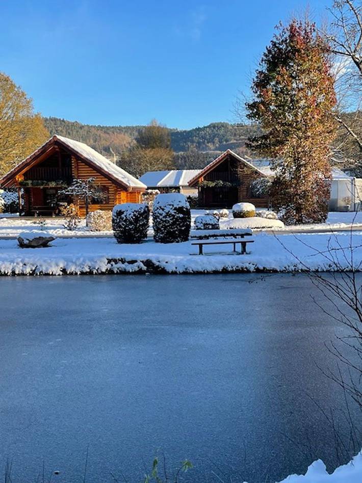 Gîte pour 4 personnes, avec balcon ainsi que jardin et jacuzzi dans Saint-Dié-des-Vosges - 3