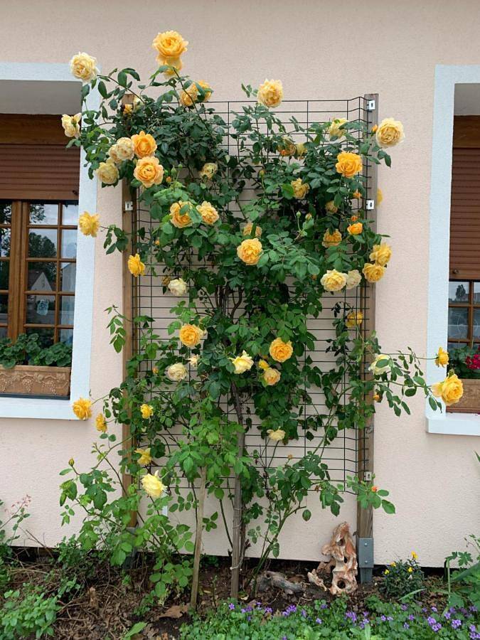 Casa de vacaciones para 4 personas, con terraza - 1