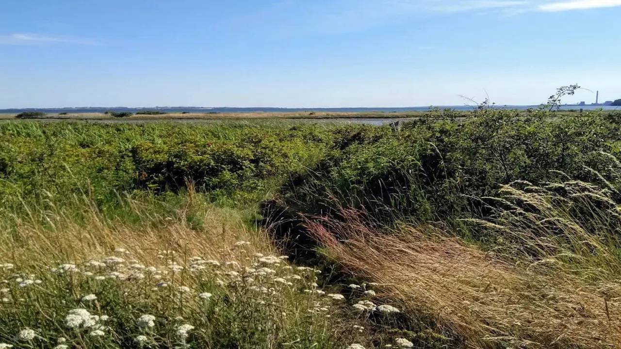 Ferienhaus für 10 Personen (125 m²) in Rønde in Følle Strand, Djursland