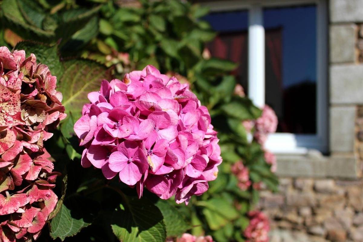 Gîte Ty Marie in Plouézec, Côte de Goëlo
