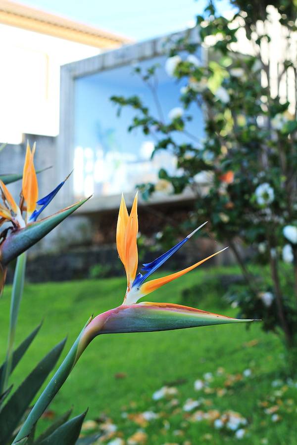 Casa rural para 3 personas, con vistas al mar y vistas además de jardín y terraza en Azores - 4