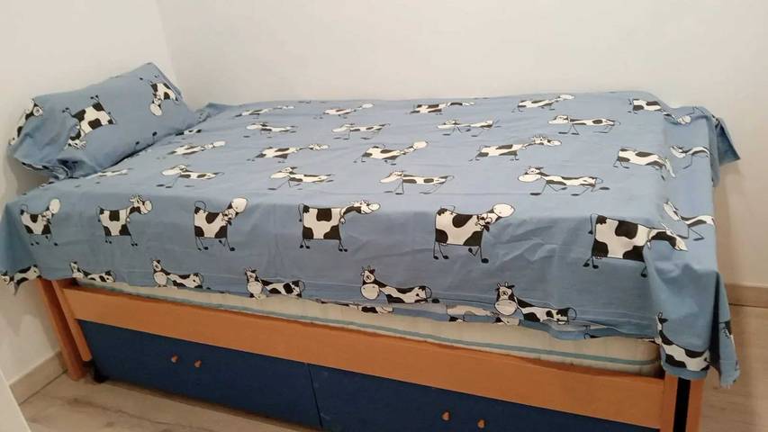 Gîte pour 6 personnes, avec terrasse à Sant Carles de la Ràpita - 4