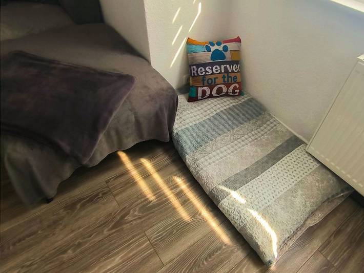 Ferienwohnung für 4 Personen, mit Balkon und Terrasse sowie Garten und Pool in Werratal - 4