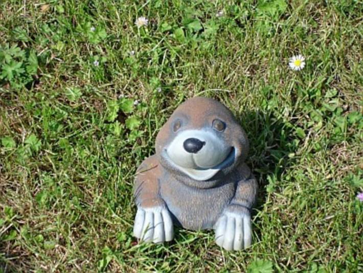 Ferienwohnung für 4 Personen, mit Garten, kinderfreundlich in Samtens - 4