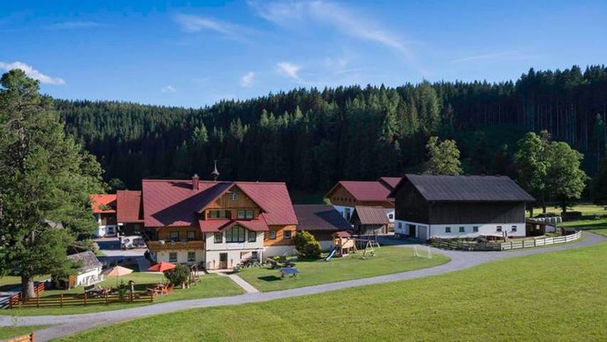 Bauernhof für 2 Personen, mit Balkon und Garten in Ramsau am Dachstein