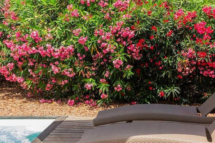 Villa pour 8 personnes, avec jardin et piscine à Figari - 3