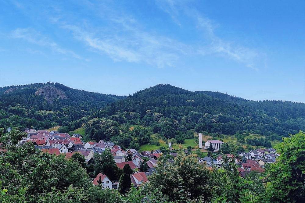 Ganze Wohnung, Ferienwohnung mit Balkonpanorama mit Lesematerial, Spielen und Fitnessraum in Gernsbach, Nordschwarzwald