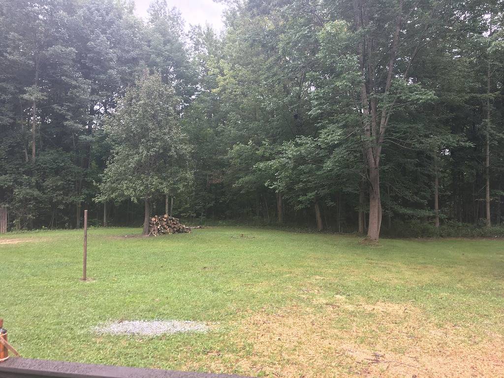 Geräumige Haus Schritte entfernt von \"The Strip\" in Gotl mit 1 Hektar Abgeschiedenheit! in Geneva-on-the-Lake, Ashtabula County