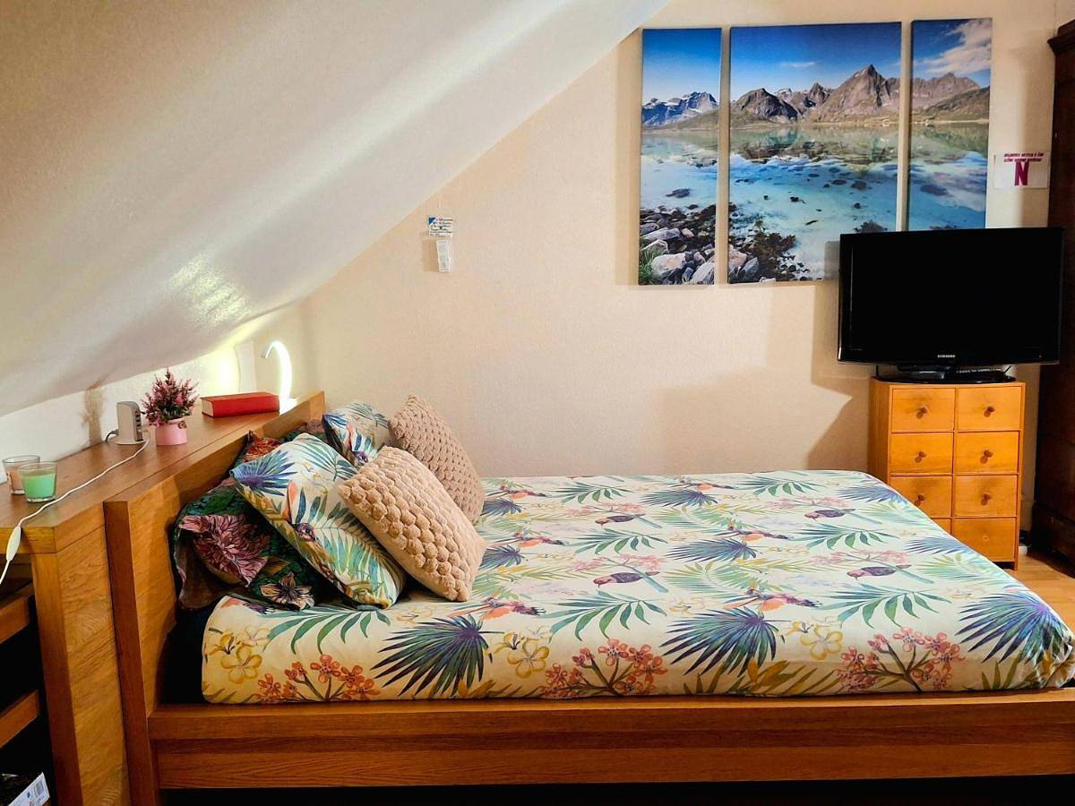 Appartement entier, Studio cosy climatisé 5 pers avec jardin vue vignes et nature in Étoile (homonymie), Jura