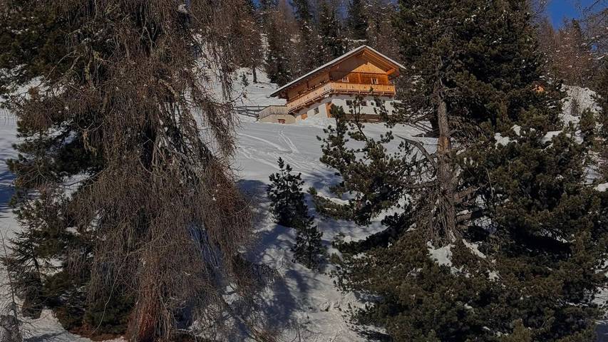 Hütte für 5 Personen, mit Garten, mit Haustier in Osttirol - 3