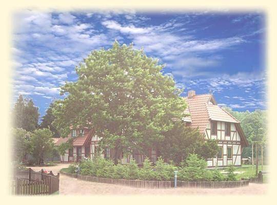 Ganze Ferienwohnung, Gemütliche Ferienwohnung in Sehlen mit Garten, gemeinschaftlichem Pool und Grill in Sehlen, Bergen auf Rügen und Umgebung