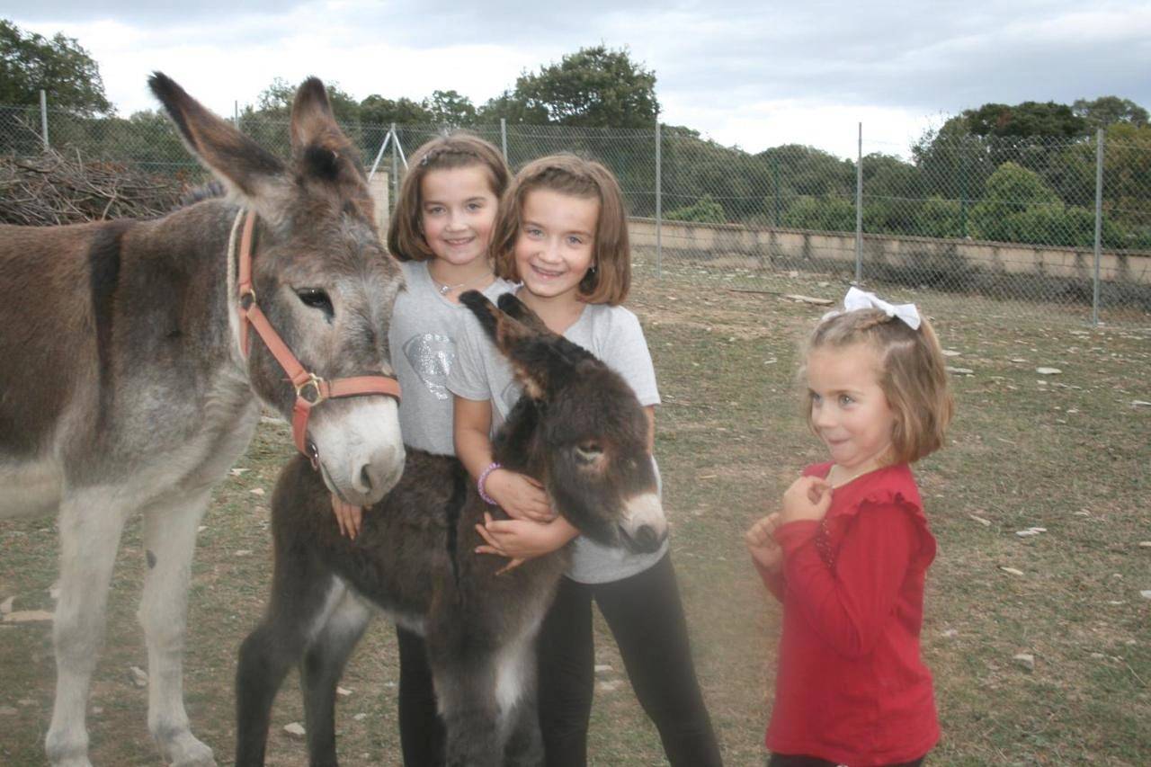 La Granja De Vitoria in Vitoria-Gasteiz, Cordillera Cantábrica