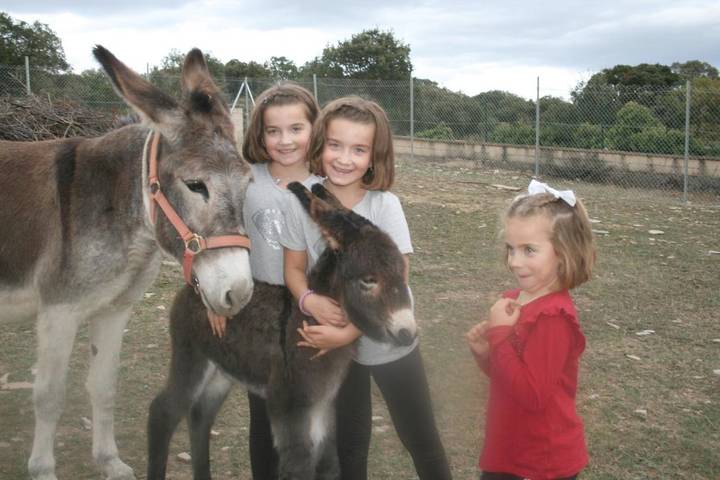 Casa rural para 3 personas, con terraza y jardín, Familias con niños en Álava - 2