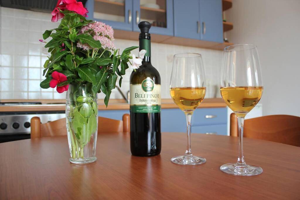 Cijeli apartman, Magnolija Apartment, sleeps 3 in Lukoran, Otok Ugljan