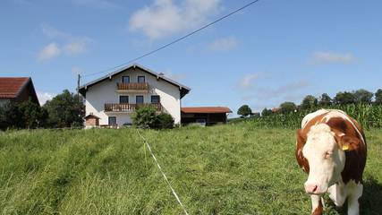 Bauernhof für 4 Personen, mit Garten in Waging am See
