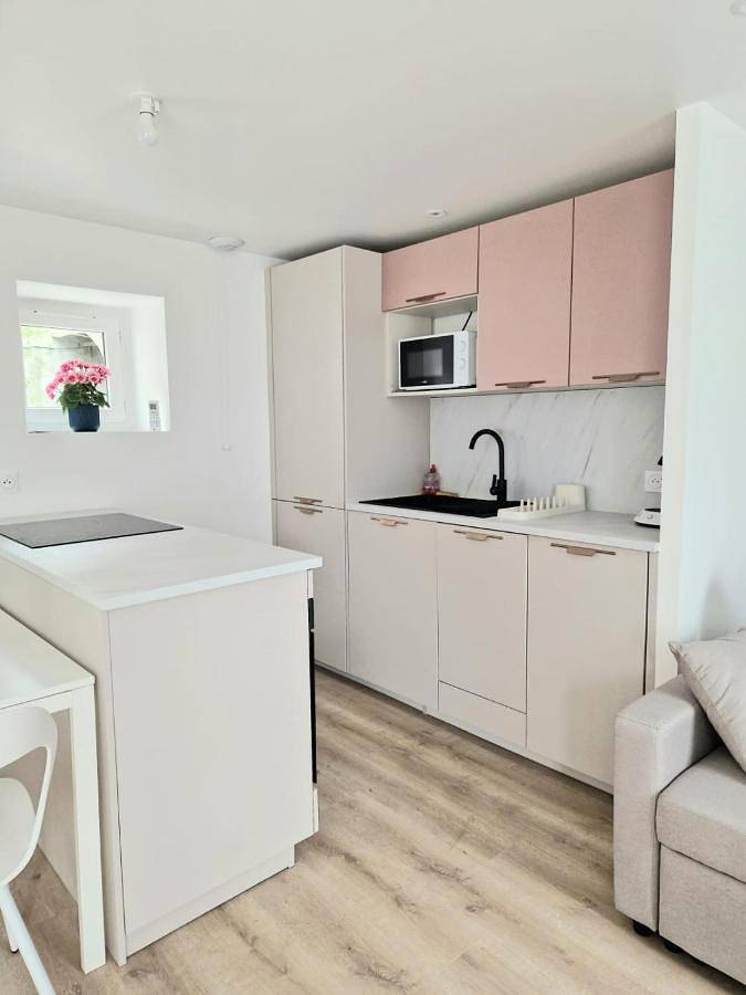 Gîte pour 4 personnes, avec jardin et terrasse à Puyoô - 3