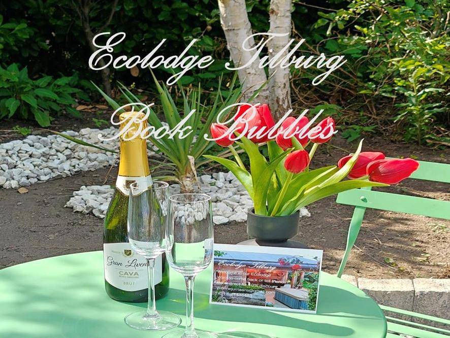 Geheel vakantieappartement, Directors room Swimmingpool Ecolodge Tilburg in Tilburg, Noord-Brabant