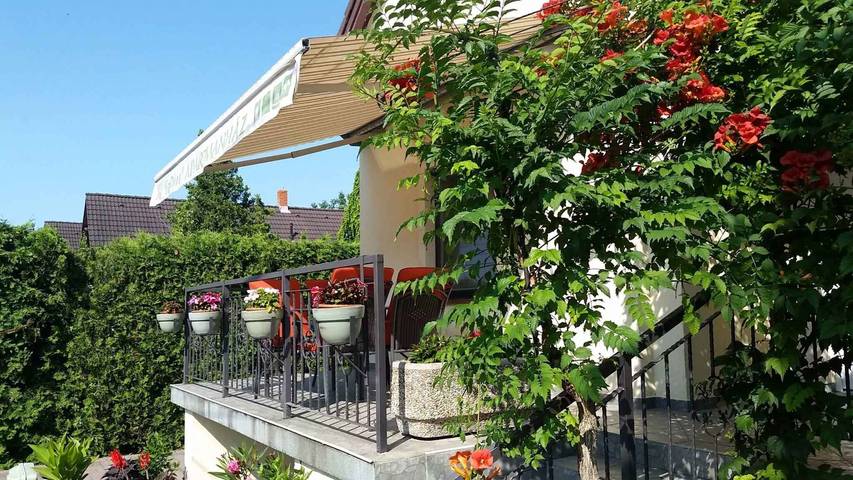 Gîte pour 4 personnes, avec jardin, animaux acceptés à Tihany - 2