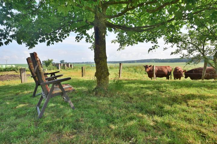 Ferienwohnung für 4 Personen, mit Ausblick und Garten, kinderfreundlich am Schweriner See - 3