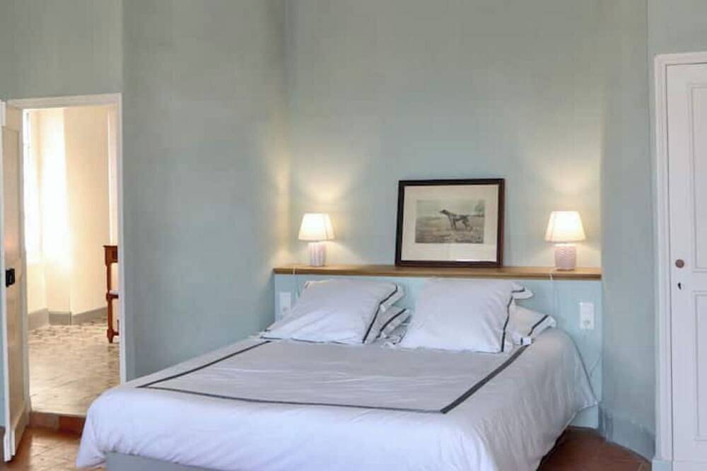 Family mansion with large swimming pool and air-conditionned bedrooms in Cesseras, Région de Béziers