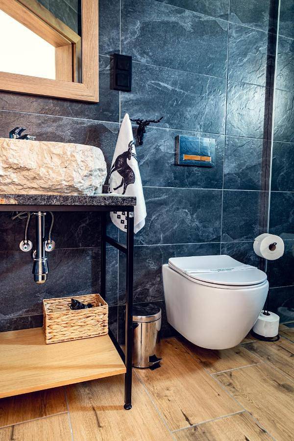 Cały apartament, Apartamenty przy stoku in Tylicz, Karpaty (Polska)