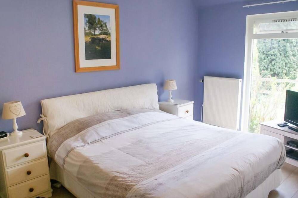 Onder De Eiken in Nationaal Park Dwingelderveld