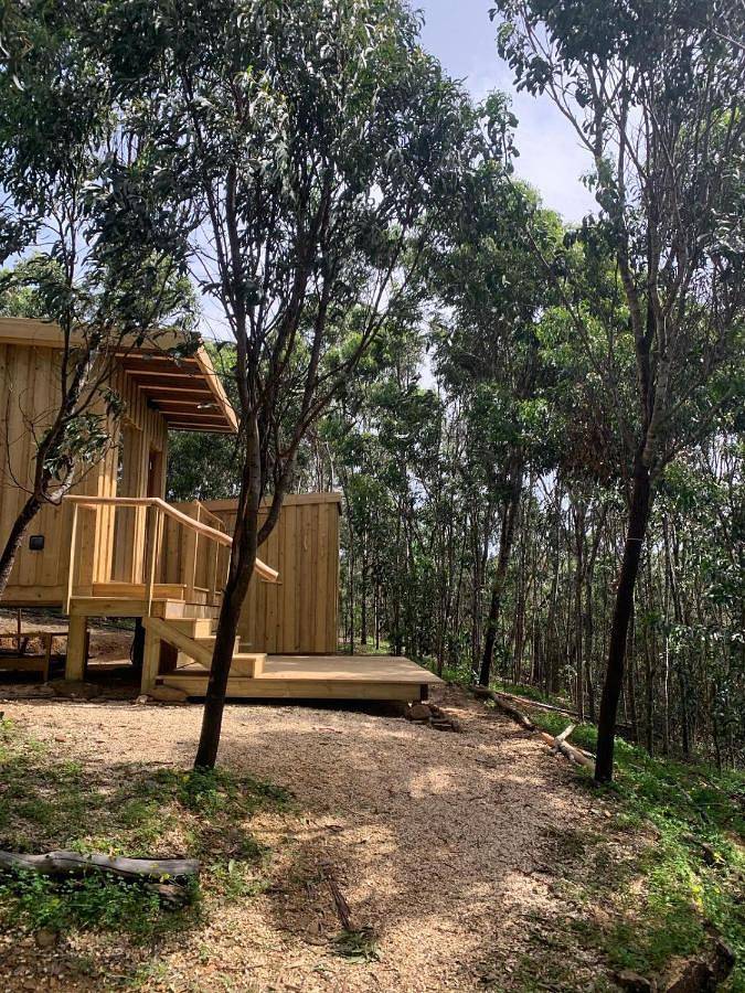 Soul Farm Algarve - Glamping & Farm Houses in Arrifana, Parque Natural do Sudoeste Alentejano e Costa Vicentina