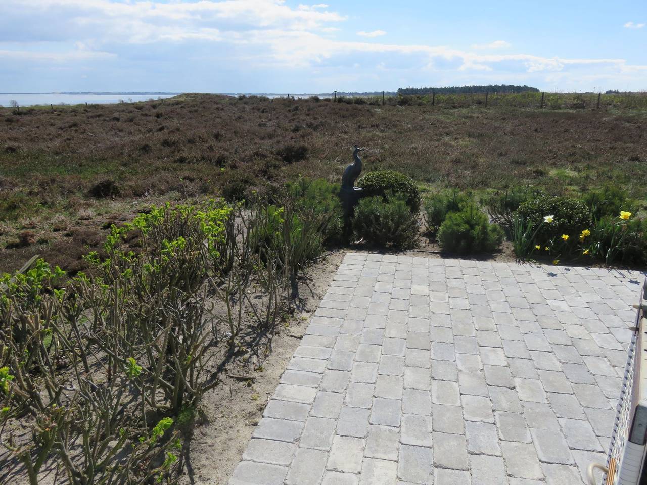 Ganze Wohnung, Sönshörn - S16 - in Munkmarsch in Munkmarsch, Sylt (Gemeinde)