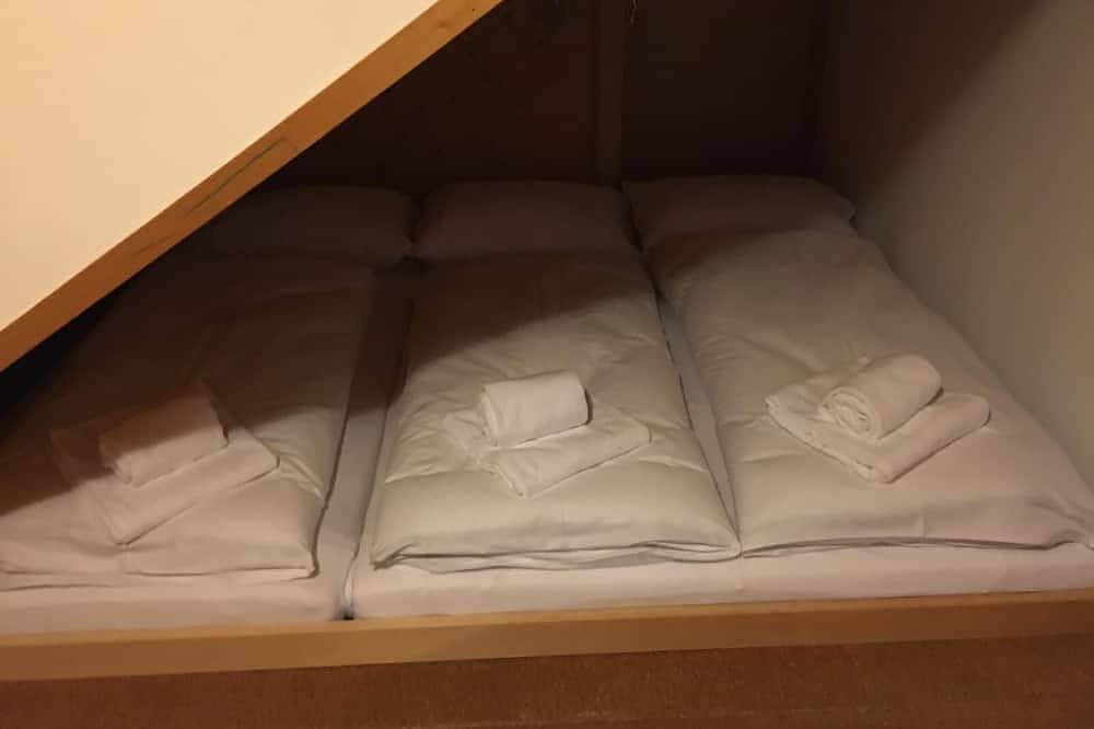 Ganze Wohnung, Sehr große Ferienwohnung im Dachgeschoss mit Aussicht zu den Bergen in Schröcken, Bregenzerwald