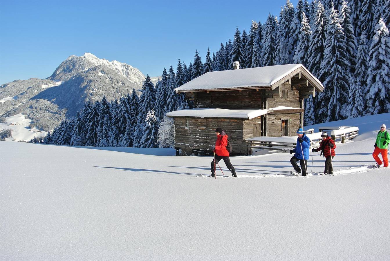 Ganze Ferienwohnung, Appartement Ii in Reith im Alpbachtal, Kitzbüheler Alpen