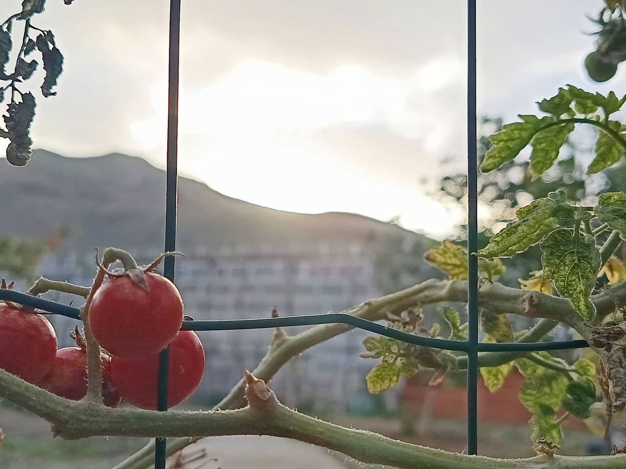 Edara Home - Haus mit privatem Garten in Marmolejos, Gáldar
