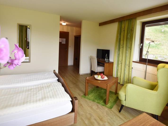 Hotel-Restaurant Stigenwirth - Wald-Einzelzimmer mit Dusche od. Bad,Wc in Krakauhintermühlen, Murau (Kreischberg)