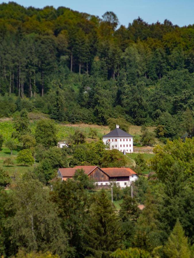 Ferienhaus für 8 Personen, mit Ausblick und Garten