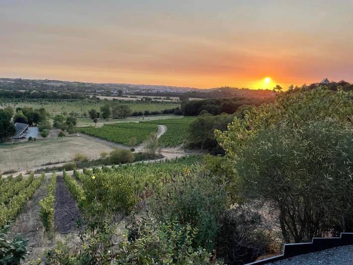 Location de vacances pour 12 personnes, avec vue et jardin à Chalonnes-sur-Loire - 3