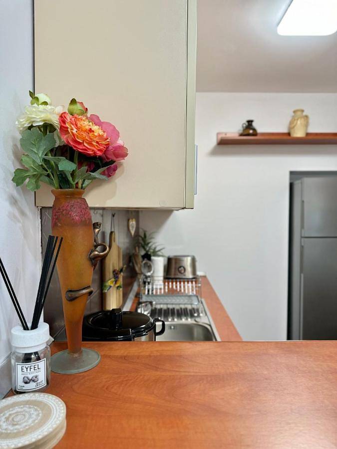 Gîte pour 4 personnes, animaux acceptés dans Poiana Brasov - Brasov - 4