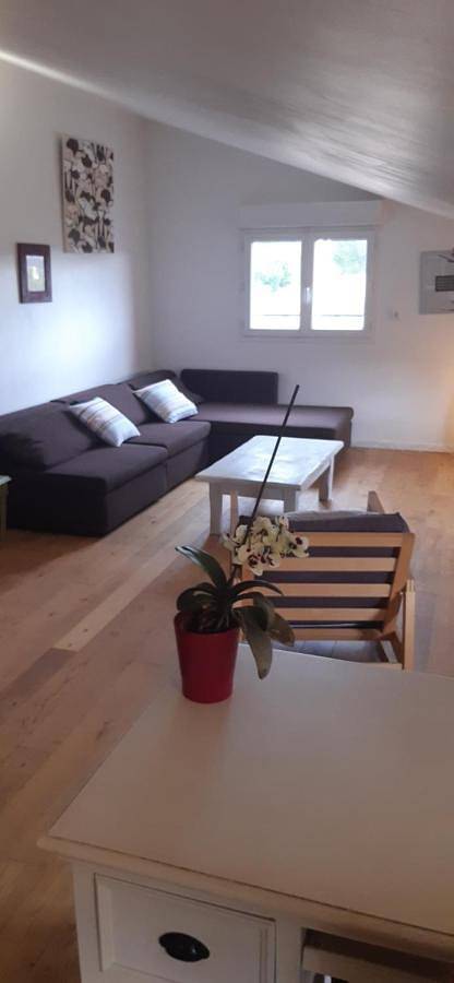 Gîte pour 4 personnes, avec jardin et terrasse à Quint-Fonsegrives - 2