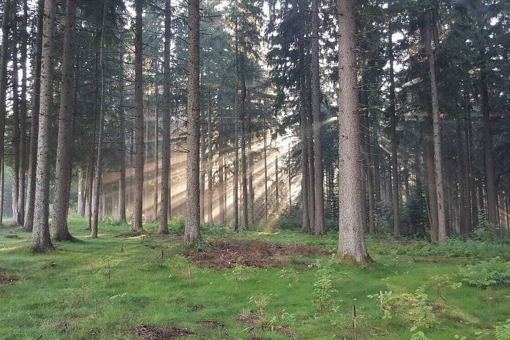 Appartamento vacanze a Foresta Nera a partire da 85€ a notte