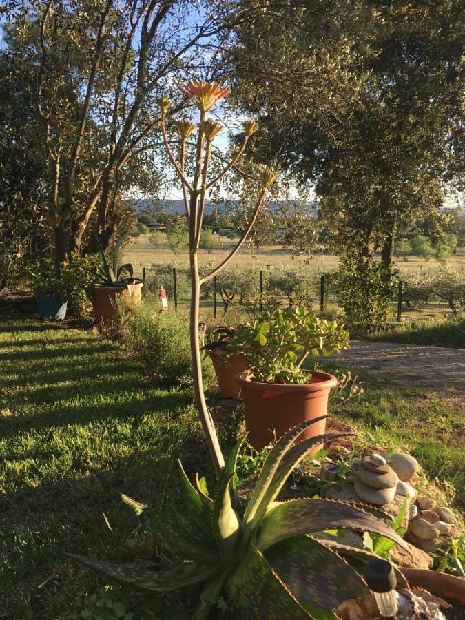 Location de vacances pour 6 personnes, avec piscine ainsi que jardin et vue à Cheval-Blanc - 4