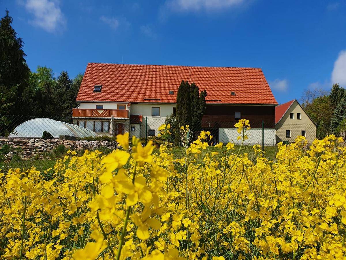 Alte Schäferei Bad Gottleuba in Bad Gottleuba-Berggießhübel, Elbsandsteingebirge